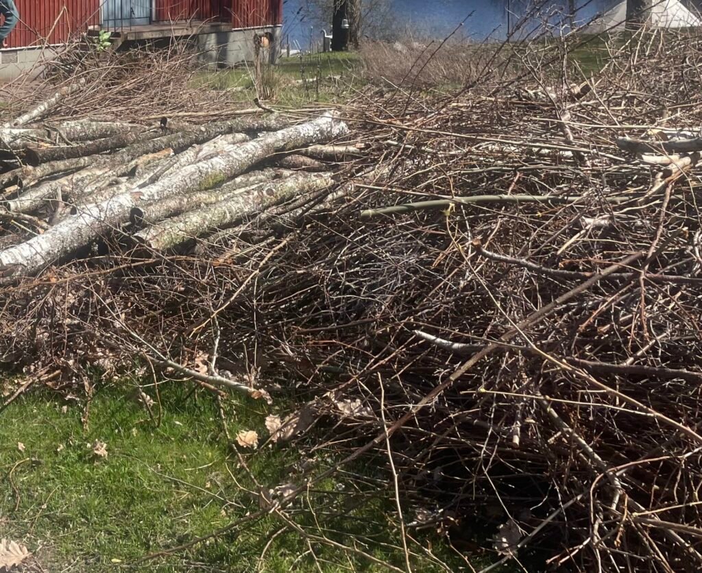 10 anledningar varför ni bör skaffa en Kon-Tiki